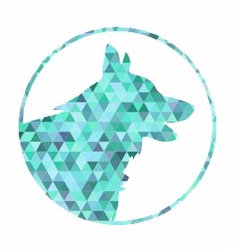 Karelian Bear Dog dog profile picture