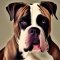 American Masti-Bull dog profile picture