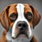 Beagle Pit kutya profilkép