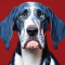 Kék pettyes mosómedvekopó kutya profilkép