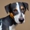 Bluetick Rat Terrier dog profile picture