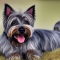 Bushland Terrier dog profile picture