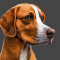 Deutsche Bracke dog profile picture