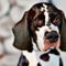 English Sprointer dog profile picture