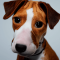 Plummer Terrier dog profile picture