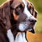 Serbian Hound dog profile picture