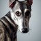 Arab agár kutya profilkép