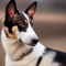 Smooth Collie dog profile picture
