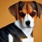 Toy Fox Beagle kutya profilkép