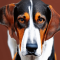 Treeing walker mosómedvekopó kutya profilkép