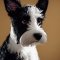 Wire Scottish Fox Terrier dog profile picture