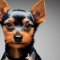Yorkie Pin dog profile picture