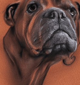 Dogo Cubano dog profile picture